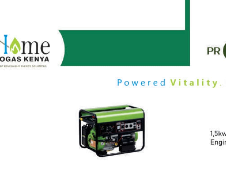 Biogas generator