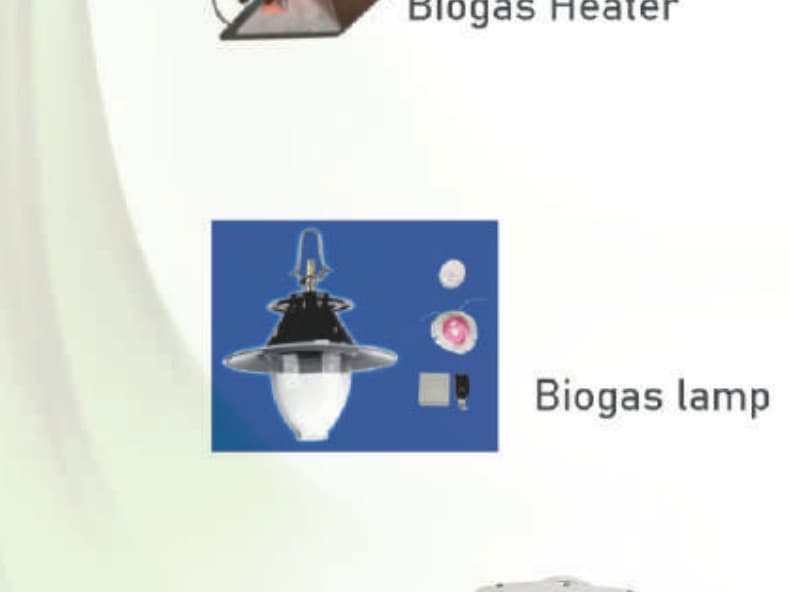 Biogas lamp