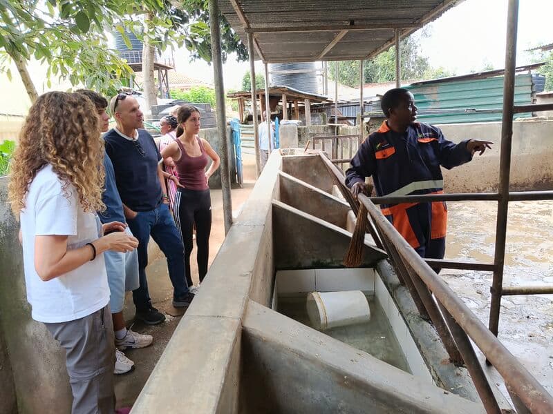 Food-waste biodigester